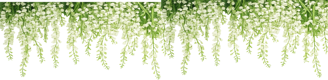 White wisteria hanging floral canopy